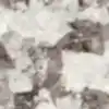 Lamar Patagonia